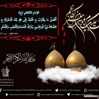 شهادات الأئمة 